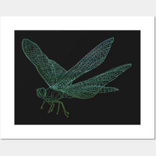 Dragonfly Posters and Art